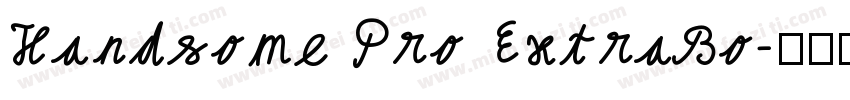 Handsome Pro ExtraBo字体转换